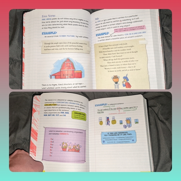 5/$25 Everything You Need to Ace English Language Arts in One Big Fat Notebook - Picture 9 of 10